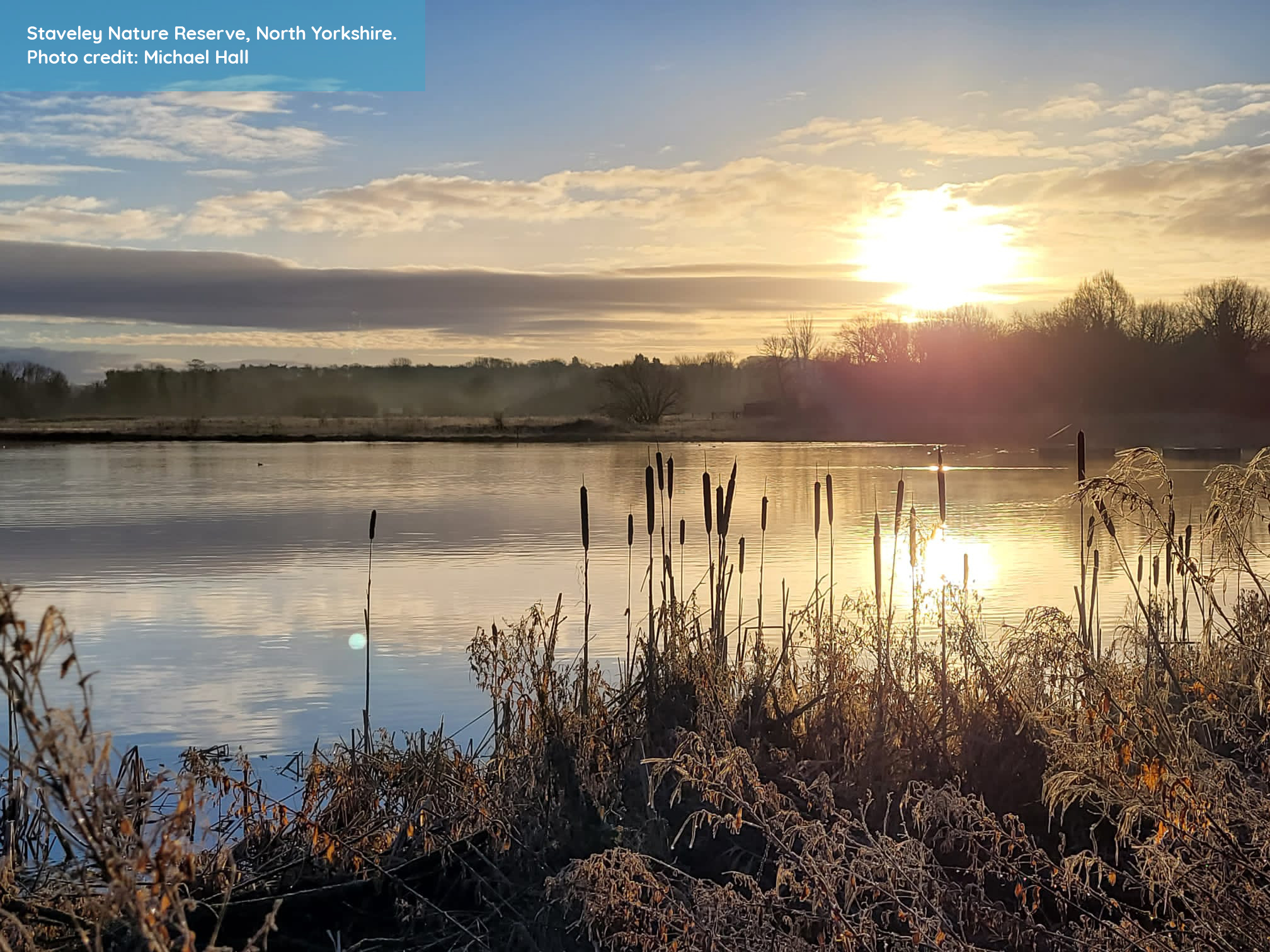 Staveley Nature Reserve, North Yorkshire. Photo credit: Michael Hall